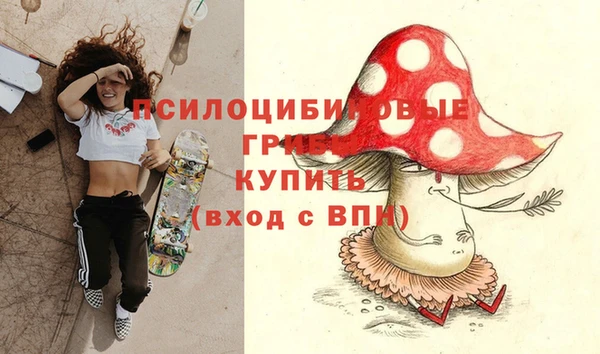 метамфетамин Каменка